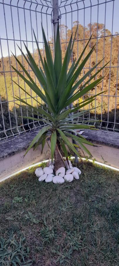 Touguinho Casa Monte Beira Rio מראה חיצוני תמונה